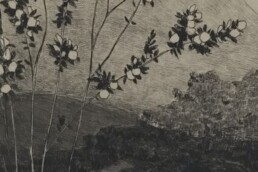A black and white drawing of a person sleeping under a tree